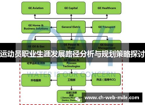 运动员职业生涯发展路径分析与规划策略探讨 运动员职业生涯发展路径分析与规划策略探讨