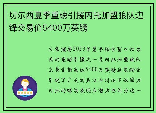 切尔西夏季重磅引援内托加盟狼队边锋交易价5400万英镑